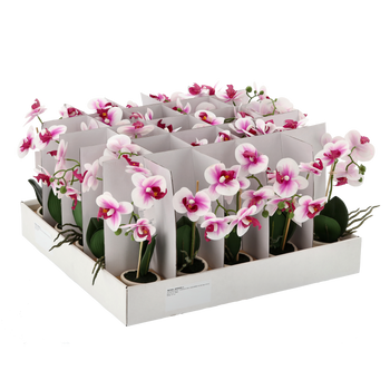 UMĚLÝ KVĚT - ORCHIDEA MIX 3 BARVY 30 CM balení=25 ks paleta=75 ks *4849