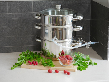 SOKOWNIK NIERDZEWNY 5 L 3W1 *0163