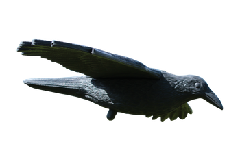 BIRD DETERRENT - RAVEN 80 x 44 x 12 cm