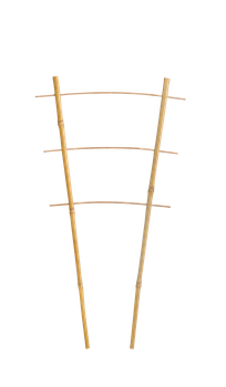 Bamboo double ladder 45 cm pack=25 pcs