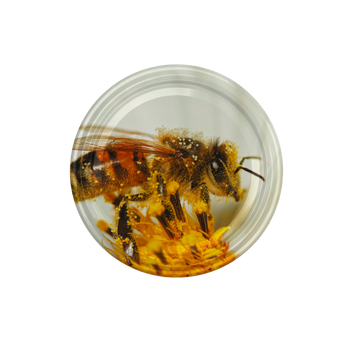 LID fi66 6z LARGE BEE ON A FLOWER CART.1100PCS HAMSTER