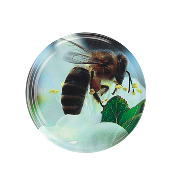 LID FI 82 6Z BEE ON A FLOWER