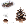 SET OF 6 PINECONES