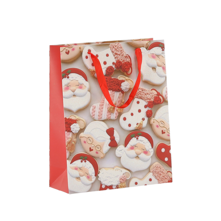 CHRISTMAS GIFT BAG XMAS 18 x 24 x 8 CM