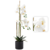 ARTIFICIAL ORCHID WHITE 77 CM
