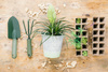 SET OF 10 SEED TARTING TRAYES 15,5X11,5X5 CM