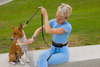 DOG ACCESSORIES