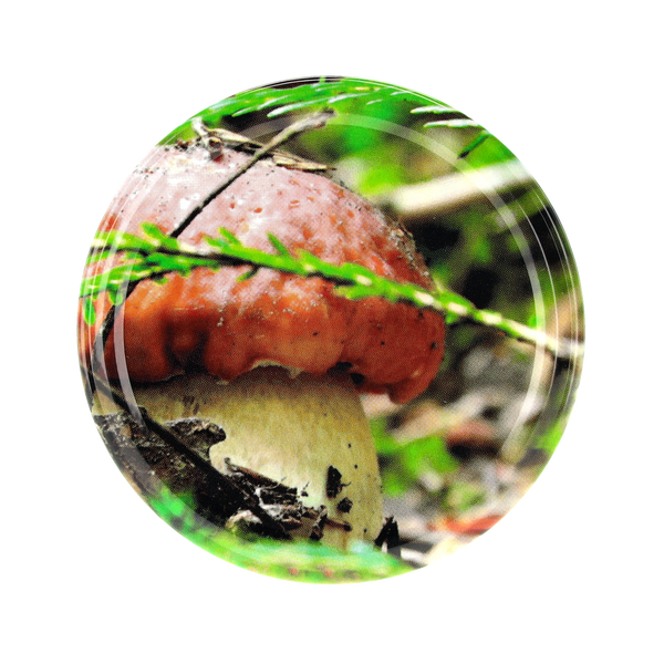 LID f 82 6Z MIX MUSHROOMS 091 pcs. 750