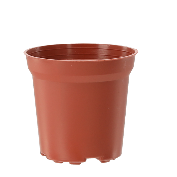 KPL. 20 DONICZEK PP 7,2 x 6,8 CM *3340