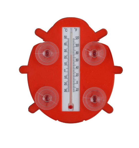 VONKAJŠÍ TEPMER BIEDRONKA 15,5 x 16 CM balenie=12 ks *5779