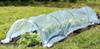 MINI GARDEN GREENHOUSE FOIL DIMENSIONS 1,5 x 4 M