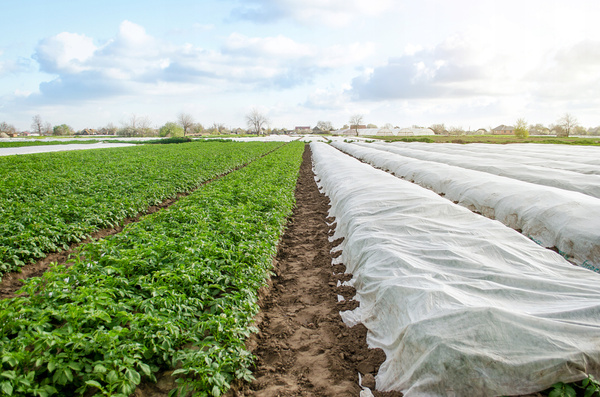 AGROTEXTIL 1.6 x 10 M JARNÍ BÍLÝ 17g