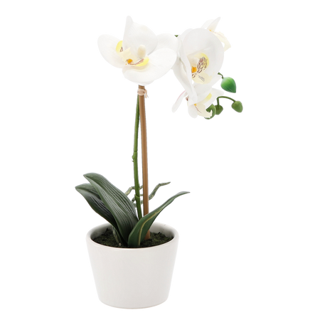 UMĚLÁ KVĚTINA - ORCHIDEA MIX 3 BARVY 30 CM bal=12 ks pal=36 ks *4825