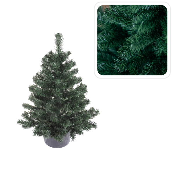 MONTANA SPRUCE IN POT 0.8 M CHRISTMAS TREE