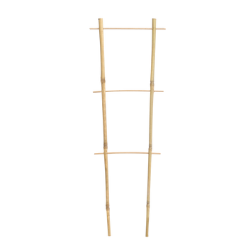 DVOJITÁ BAMBUSOVÁ REBRÍK 45 CM balenie=25ks *3137