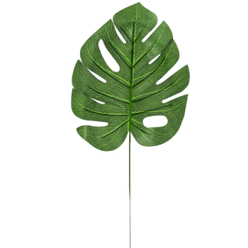 MONSTERA LEAF*9227