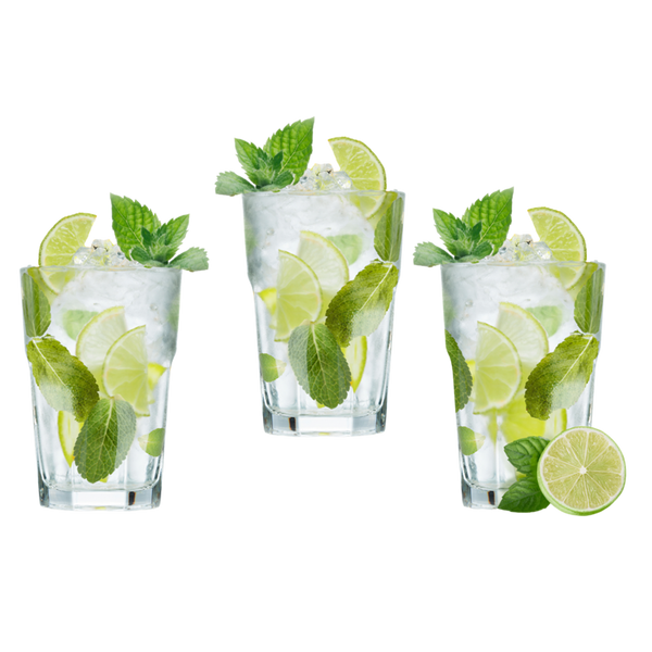6 LONG DRINK GLASSES SET 365 ML ARAS