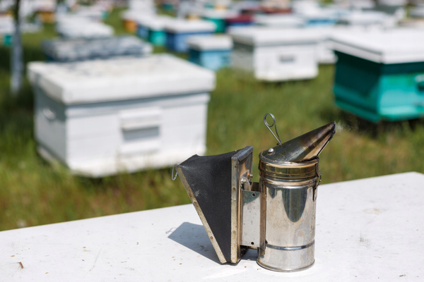 BEEKEEPER VACUUM CLEANER STAINLESS STEEL 28 CM