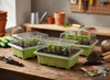 MINI GREENHOUSE FOR GERMINATION 12 CELLS
