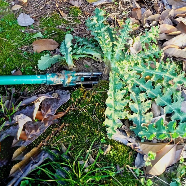 Weed cutter 100 x 22 x 2,3 CM