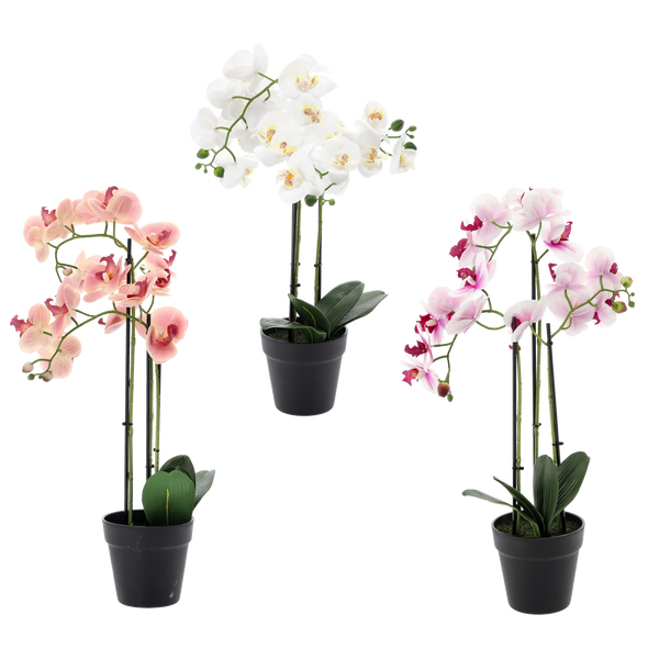 ARTIFICIAL FLOWER - ORCHID MIXED 3 COLOURS 62 CM