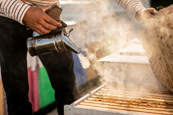 BEEKEEPER VACUUM CLEANER GALVANIZED 27 CM