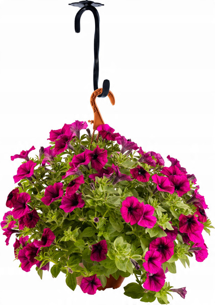 Hanger for flowerpot 21 CM BLACK