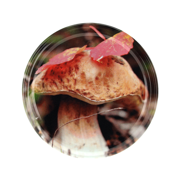 LID f 82 6Z MIX MUSHROOMS 091 pcs. 750