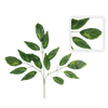 ARTIFICIAL BRANCH - MANGO LEAF 69 x 48 CM