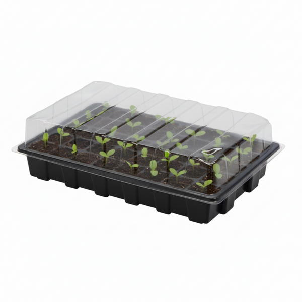 MINI GREENHOUSE FOR GERMINATION 40 CELLS 