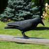 BIRD SCARER - RAVEN 36 x 13 x 18 cm