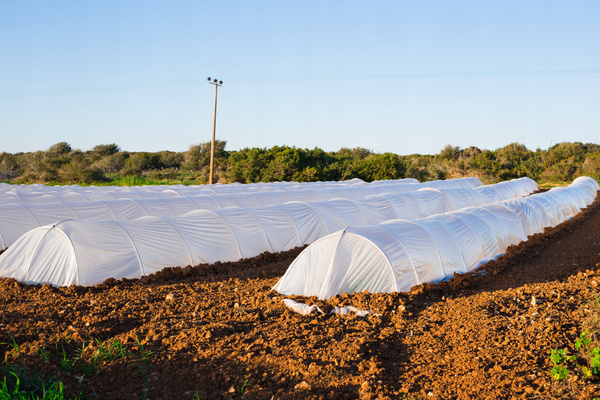 AGROTEXTIL 1.1 x 5 M ZIMNÍ/JARNÍ BÍLÝ 30g *2081