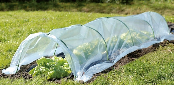 MINI GARDEN GREENHOUSE DIMENSIONS FOIL 1.8 x 10 M