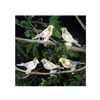 SET OF 5 SOLAR BIRDS STRING LIGHTS WITH CLIPS WARM WHITE LED