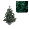 MONTANA SPRUCE IN POT 0.8 M CHRISTMAS TREE