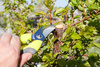 GARDEN PRUNING SHEARS 20 CM