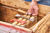 STAINLESS STEEL BEEKEEPING CHISEL IN WOODEN FRAME WITH PRY BAR 26 CM opak=6pcs