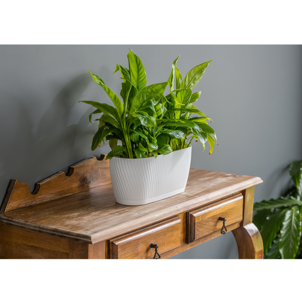 BOX MIKA 270MM ECO RECYCLED CU BAZA ALBĂ *4704*