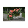 WIcker Wreath 20 cm