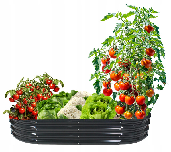 GRĂDINĂ PENTRU LEGUME ȘI FLORI 240 X 120 X 30 CM OVALĂ ANTRACIT *8441