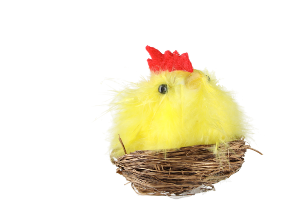 KPL. 12 VELIKONOČNÍCH KUŘAT MIX BARVY *9496