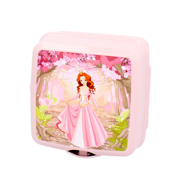 Containere pentru sandvișuri + sticlă de apă 530 ml *8379