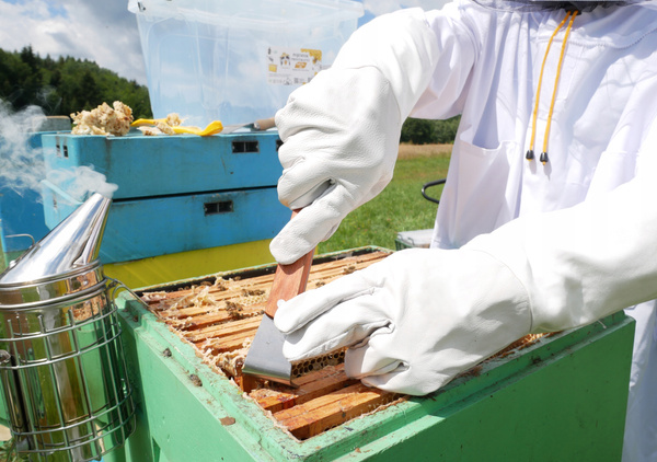 DŁUTO PSZCZELARSKIE NIERDZEWNE W OPRAWIE DREWNIANEJ 20 CM *4056