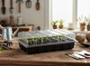 MINI GREENHOUSE FOR GERMINATION 40 CELLS 