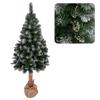 BALTIC PINE DIAMOND ON STUMP 2.2 M CHRISTMAS TREE