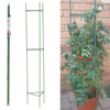 Podpora pre rastliny, paradajky 11 MM x 180 CM *8204