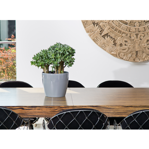 VAS MAGNOLIA 210 MM GRIJ *72044*