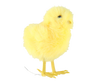 EASTER DECORATION - CHICK 4 x 6 x 6 CM MIX 5 DESIGNS pack=10pcs