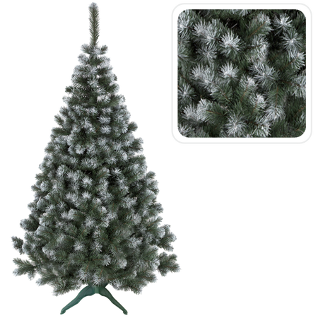 ALPHA FIR 2.5 M