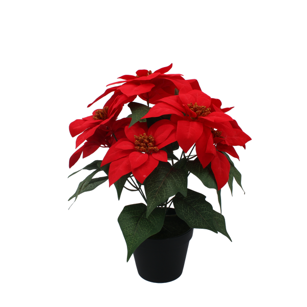 UMĚLÁ KVĚTINA - BETLEHEMSKÁ HVĚZDA 35 CM V ČERNÉM KVĚTINÁČI ČERVENÁ *3797